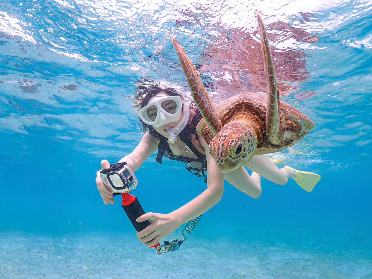 ����Ȃɋ߂��ŃE�~�K���Ɖj���邩���I�H