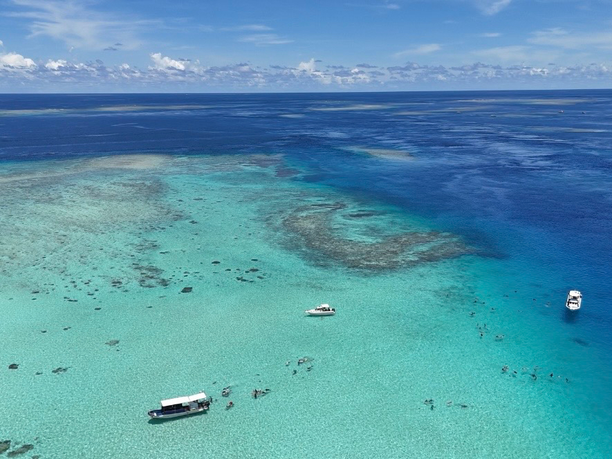 �h���[���B�e�����I�I