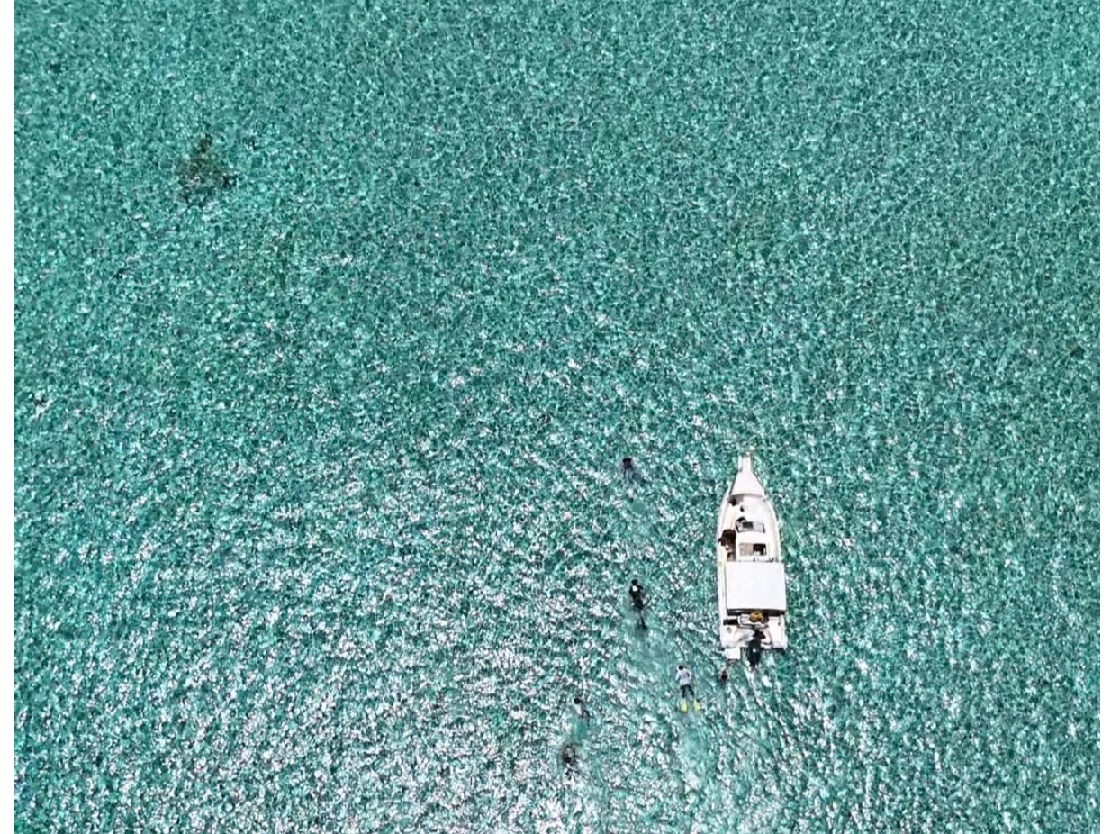 �n�����t�������߂̃|�C���g�ցI�I