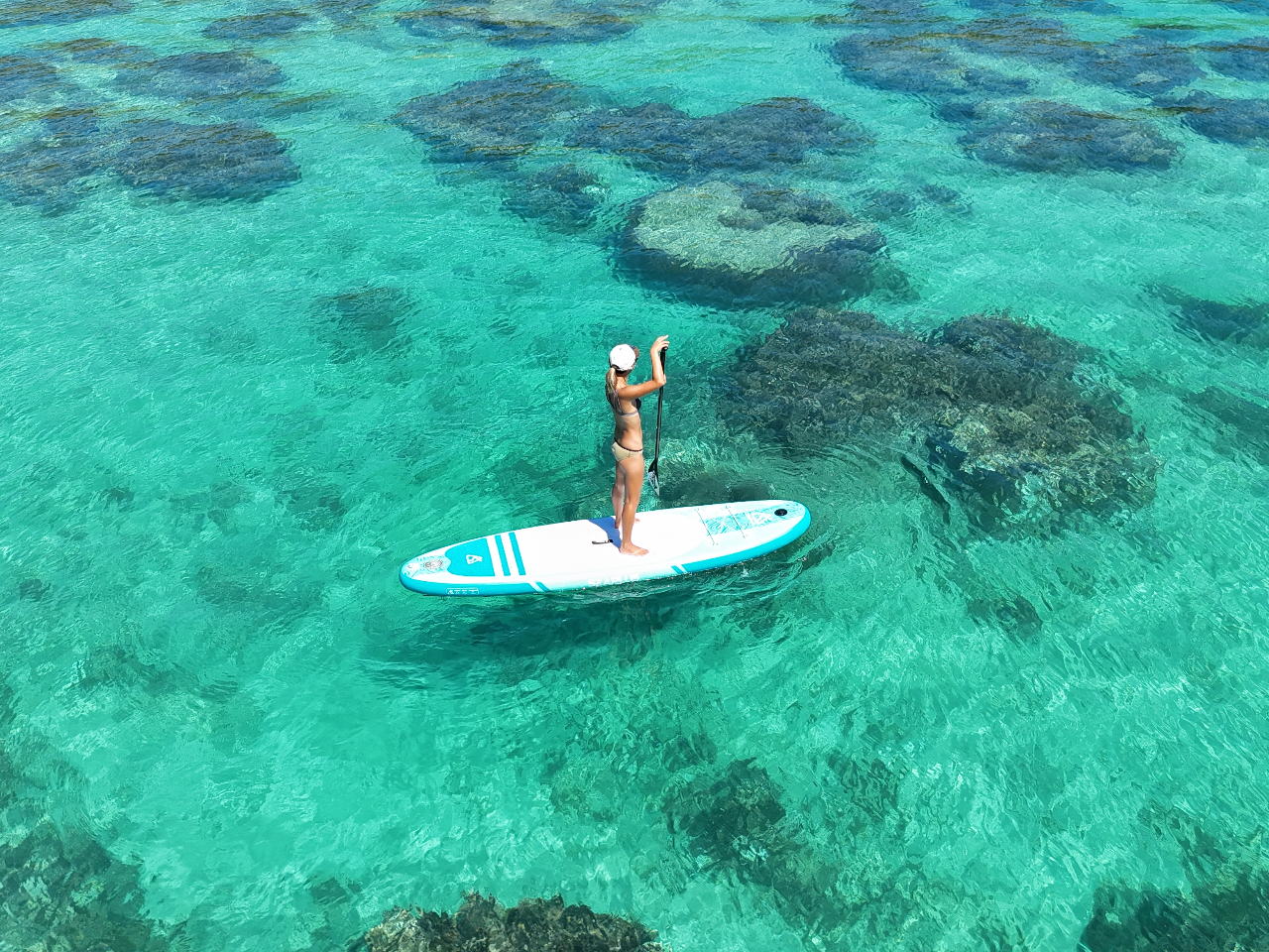 �h���[���B�e���I�I