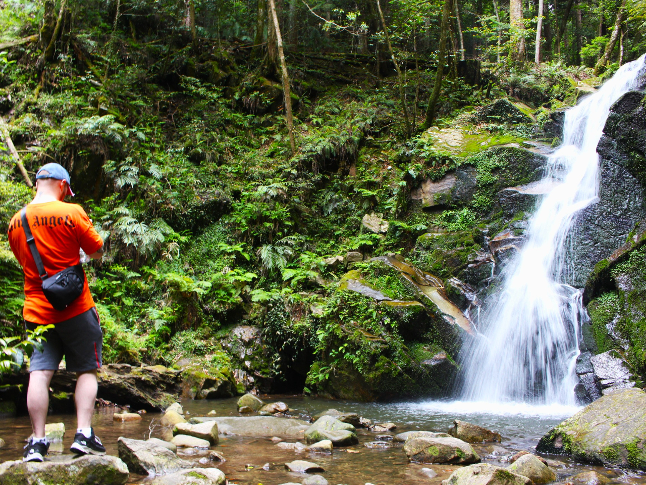奈良県・春日野町】《世界遺産》春日山原始林をE-BIKEでサイクリング