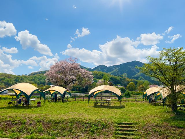 晴れた日には丹沢大山を見渡せる清々しいロケーションです!BBQ広場からは桜の木が見えますよ♪