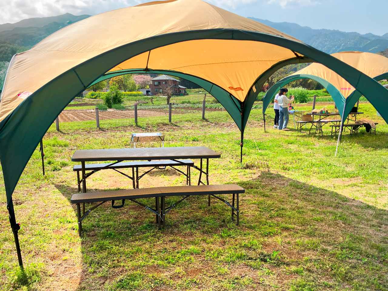 傫ȃh[^̃egŁA}ȉJS݉c̓X^bts܂̂łSB