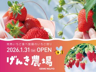 2026年1月31日オープンです♪