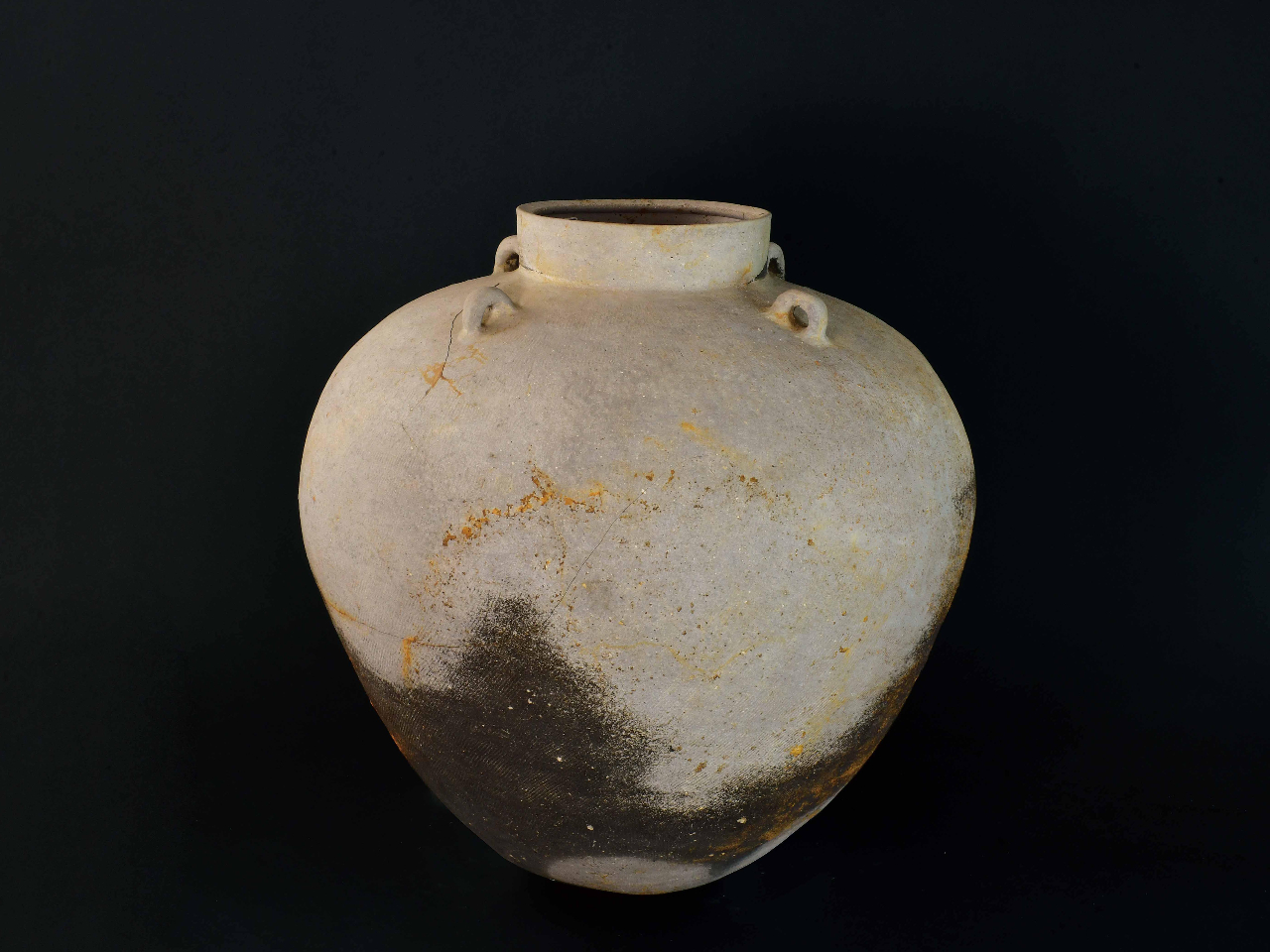 �d�v�������@��l�����@�Õ�����i�T���I�j�@���{���W�q�ՌQ��225���q�Տo�y�@��s��