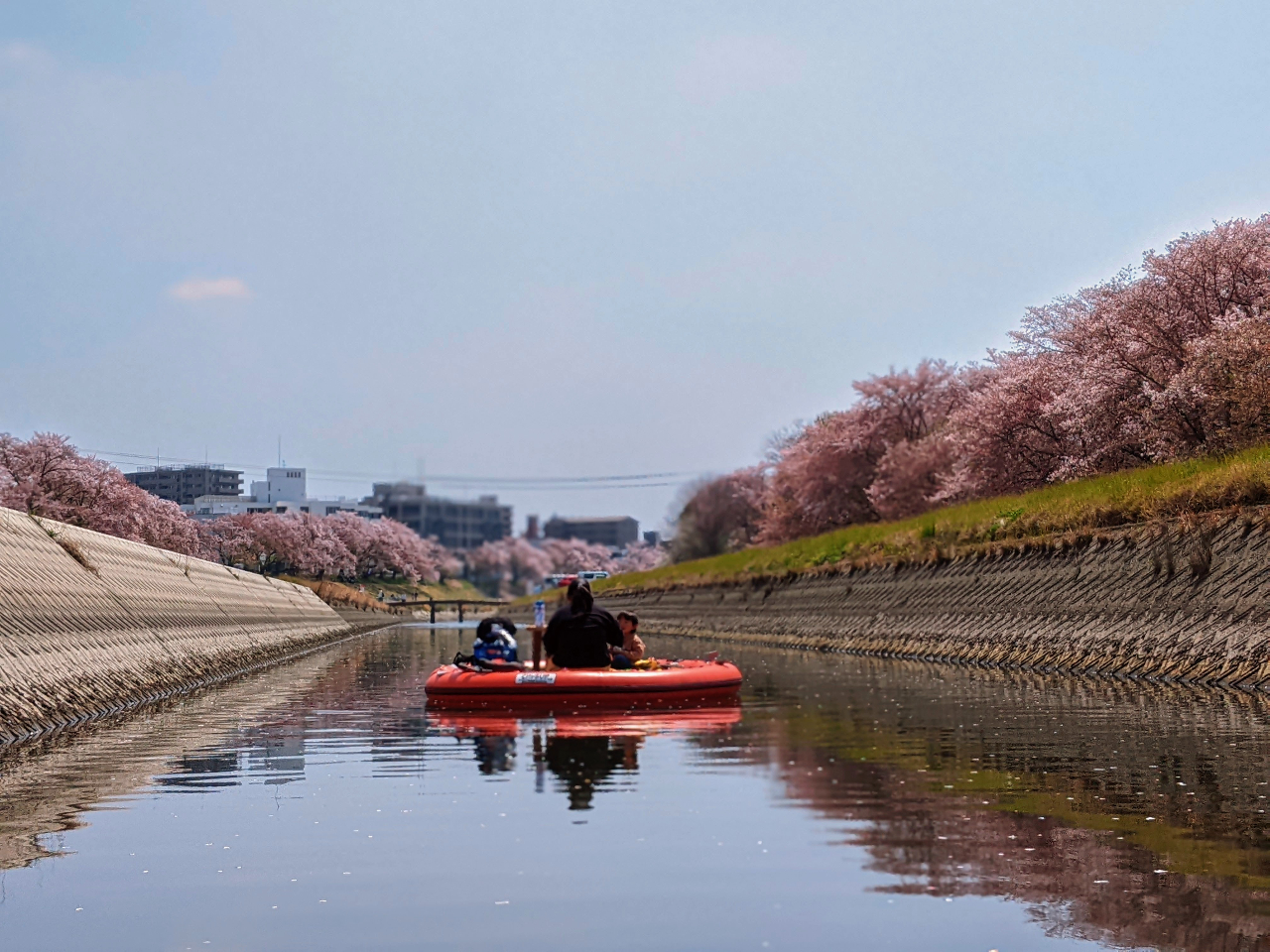 春爛漫のひととき、後楽園の桜並木を水上から眺める贅沢な時間。この季節だけの特別な水上時間を、ゆったりとお楽しみください。