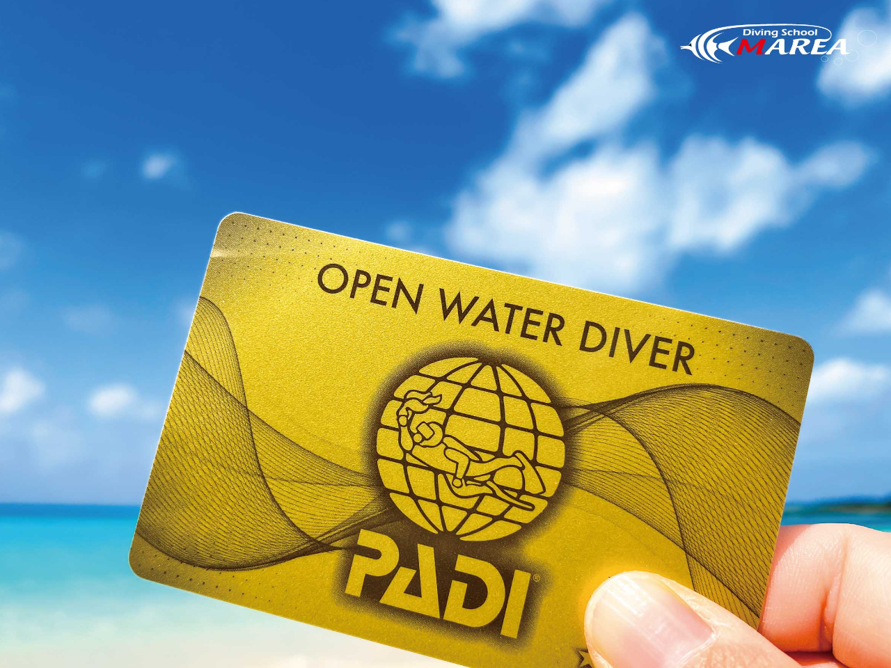 }A͑SXPADIS[hCJ[hsXI͐PADIVbv̒łS̏