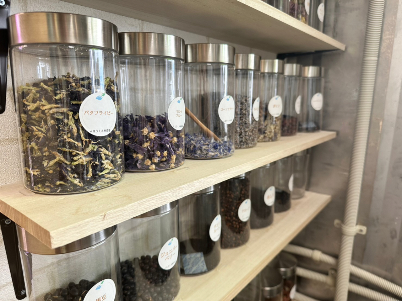 【山形市×ハーブティ体験】施設見学&ハーブティ作り体験!自分好みのハーブティを作...