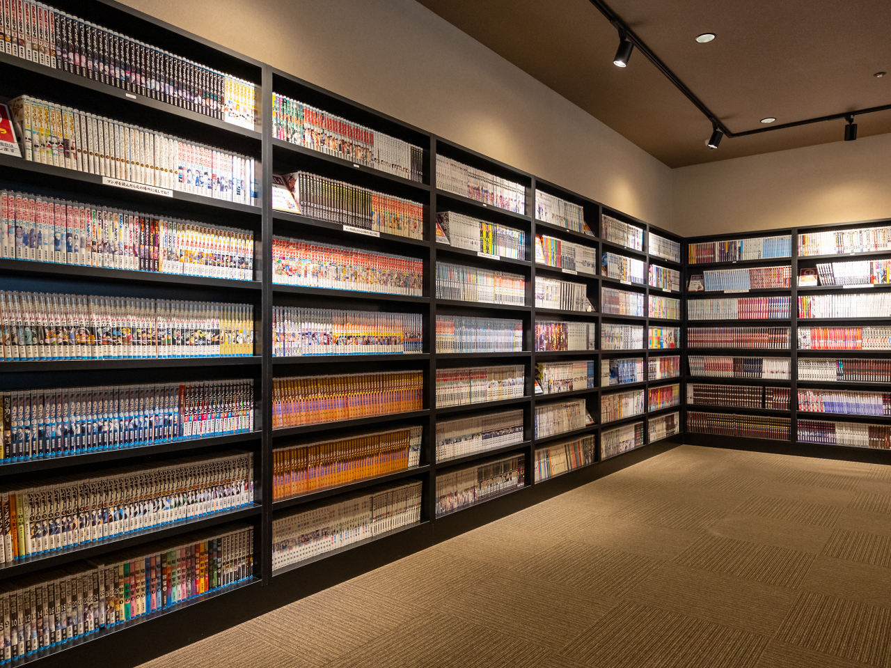 bNX[ł肭낮̂悵ADȖՂ芬\悵