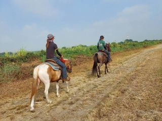 注意:こちらのプランは、スタッフが引いて歩く引き馬外乗です。