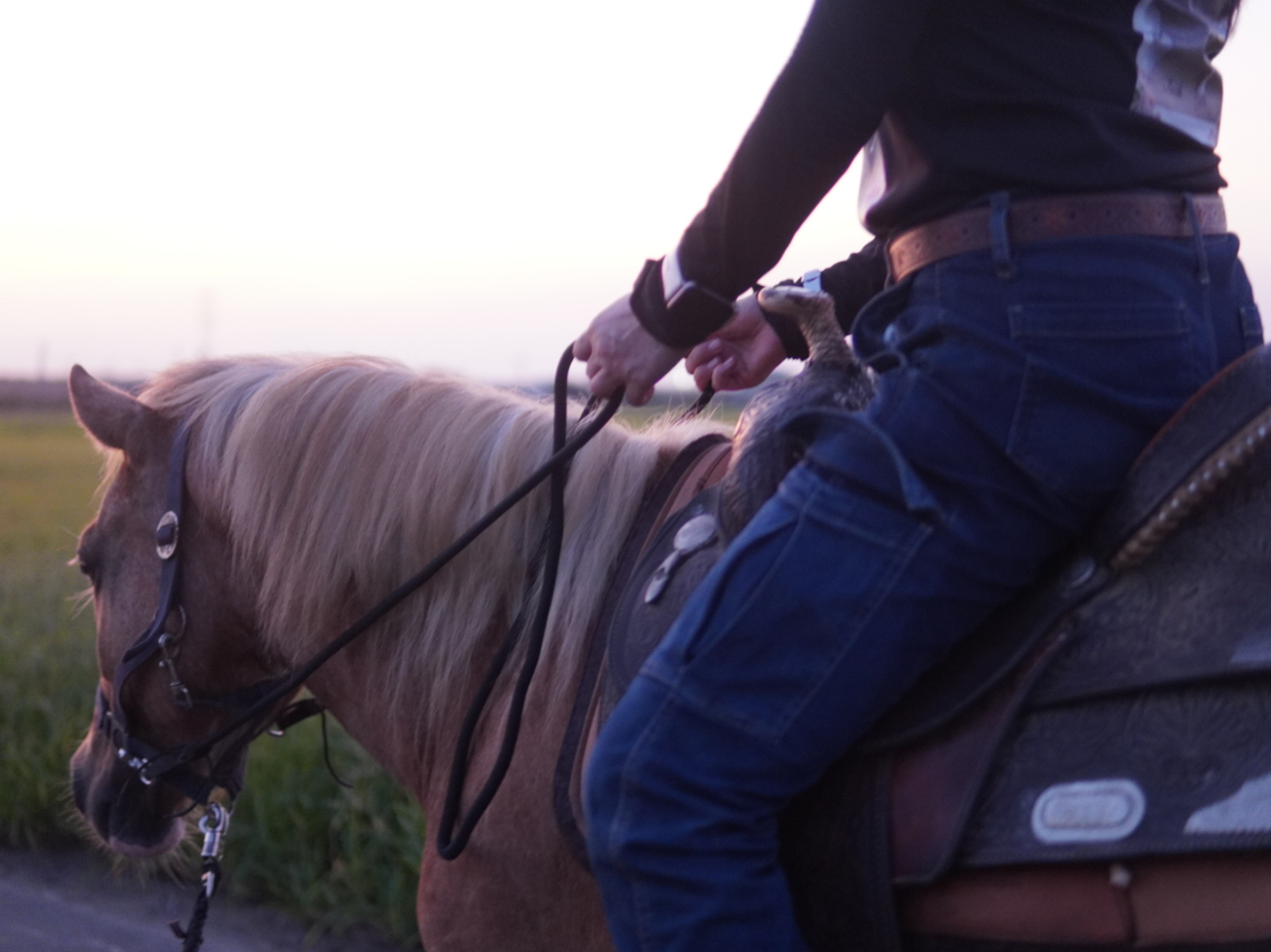 �����ĕ����܂��̂ŁA���߂Ăł����S�I