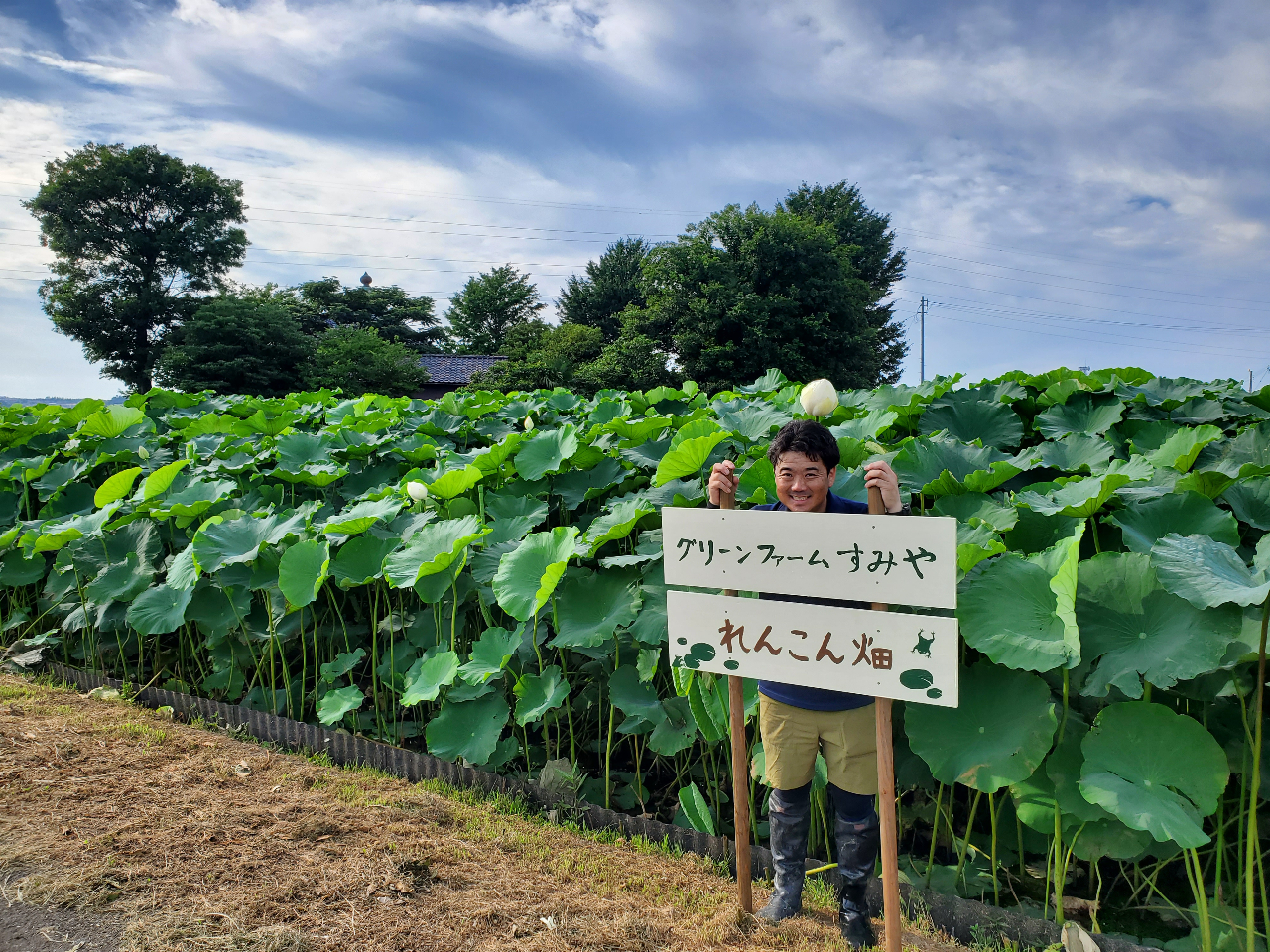 【福井県・調理体験】\お子様の料理デビューにぴったり/あわられんこんを使ったれん...