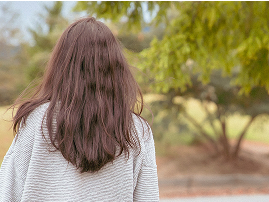 【岐阜・よもぎ蒸し】\平日プラン/モリンガ蒸し90分コース(フットスチーム付き)...