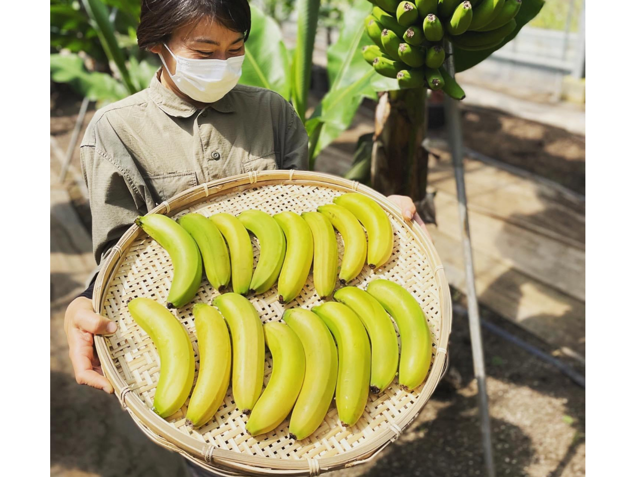 ł́Aoii߂܂ n󋵂ɂ薳ꍇ܂