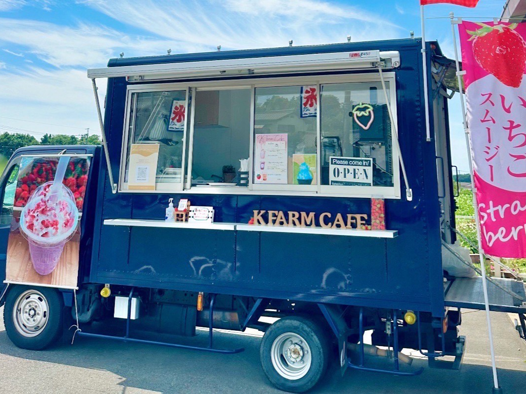 【いちご狩り始めました】土日祝40分食べ放題プラン♪鎌ヶ谷のK-FARMいちごハ...