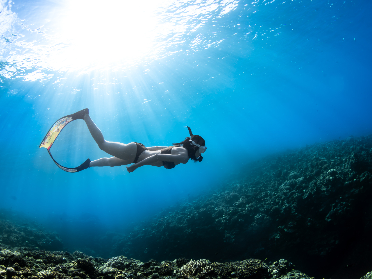 ���꓇�X�L���_�C�r���O