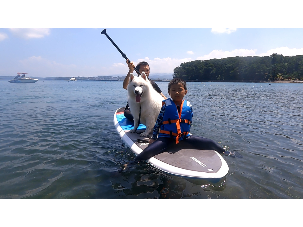 ペット同伴OK！ 海上散歩サップツアー/wagテイル - じゃらん遊び体験