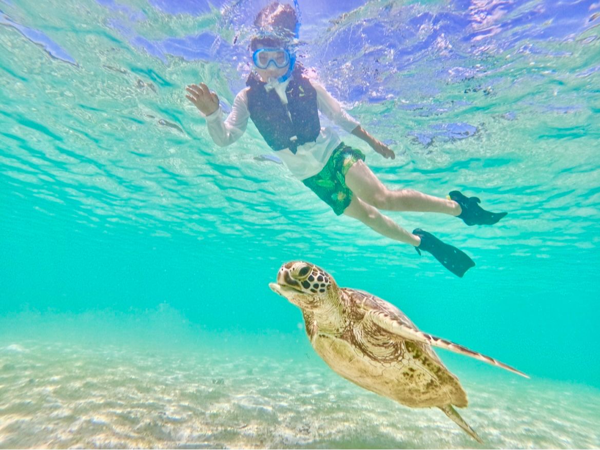 v킸GĂ܂ɂȂ鋗I̔͂ɋԈႢȂI