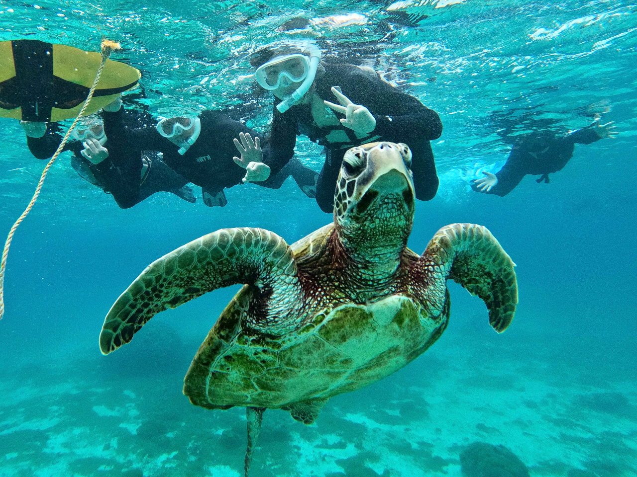 cA[̑̌iAE~KƂ̋LOBeȂǎBef[^̓v[g