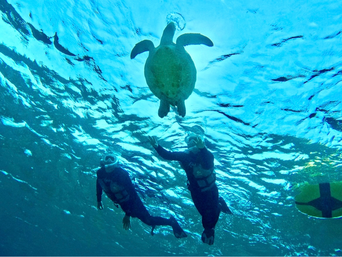 E~KƈꏏɉjIȂĖȂ܂