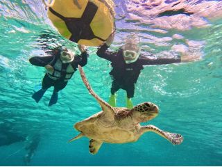 ファミリー層御用達!本当に出会えるウミガメシュノーケル♪厳選されたスポットでの開催なので遭遇率は間違いなし♪