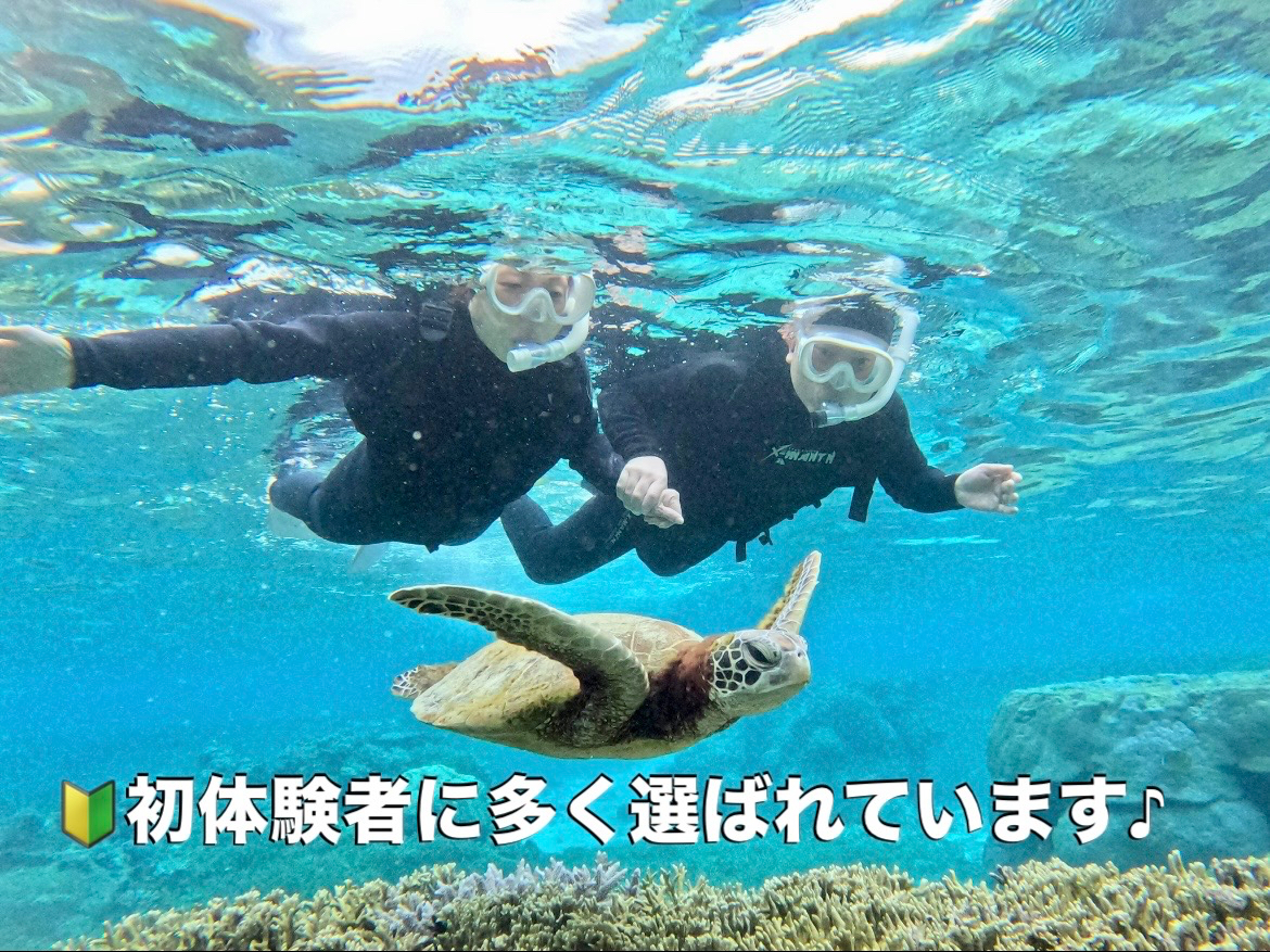 �E�~�K���V���m�[�P���c�A�[�ł͓����̑̌����i��V���m�[�P���̗l�q�E�~�K������Ƃ̎B�e�t����f�[�^�͖ܘ_�v���[���g��{�Ó���ԃA�N�e�B�r�e�B�E�~�K���V���m�[�P��