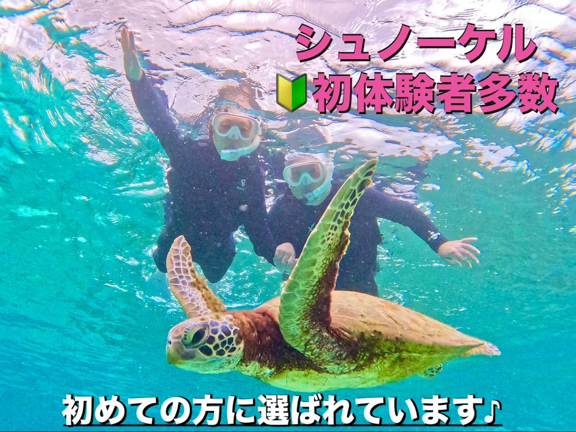 �E�~�K���V���m�[�P���ł̓E�~�K���ƈꏏ�ɉj�������I�Ȃ�Ė������Ȃ��܂��􏉐S�ҁA�J�b�v���A�Ƒ��A���L���������ߋ{�Ó���ԃA�N�e�B�r�e�B��E�~�K���V���m�[�P��