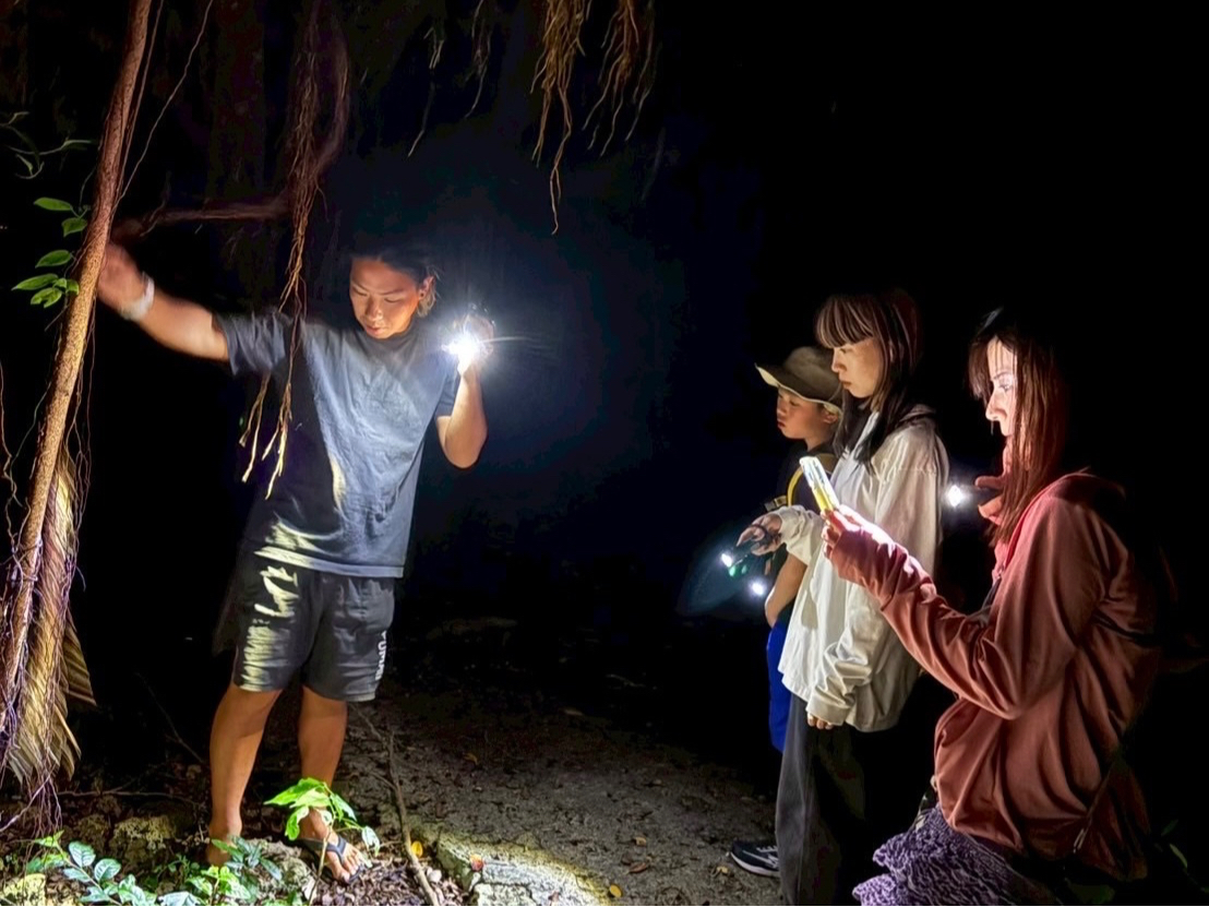 ̗jAn`Ȃǋ{Óׂ̂Ă̏񂪂̃cA[ɋl܂Ă܂􂨎qlɌ炸lły߂cA[eƂȂĂ܂I