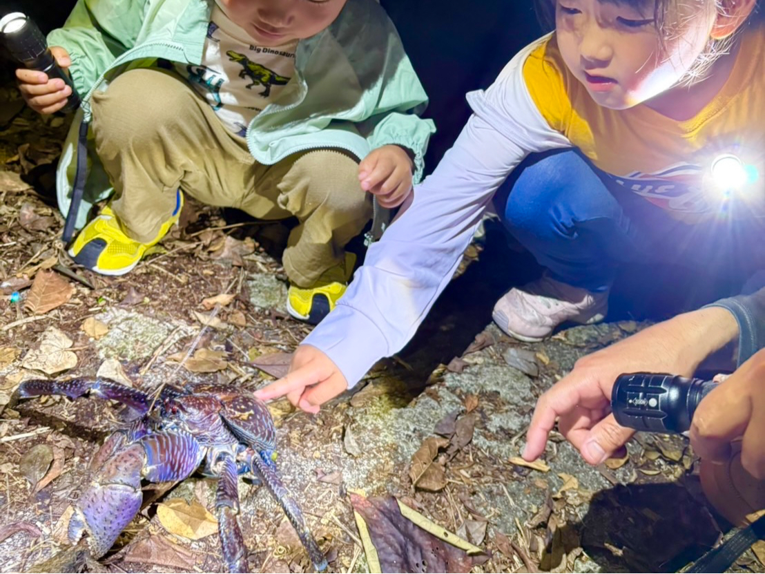 大きなヤシガニに子供も大興奮♪