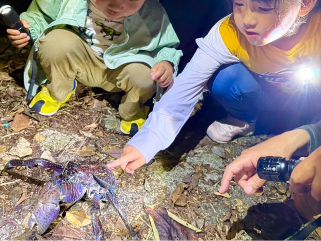 大きなヤシガニに子供も大興奮♪