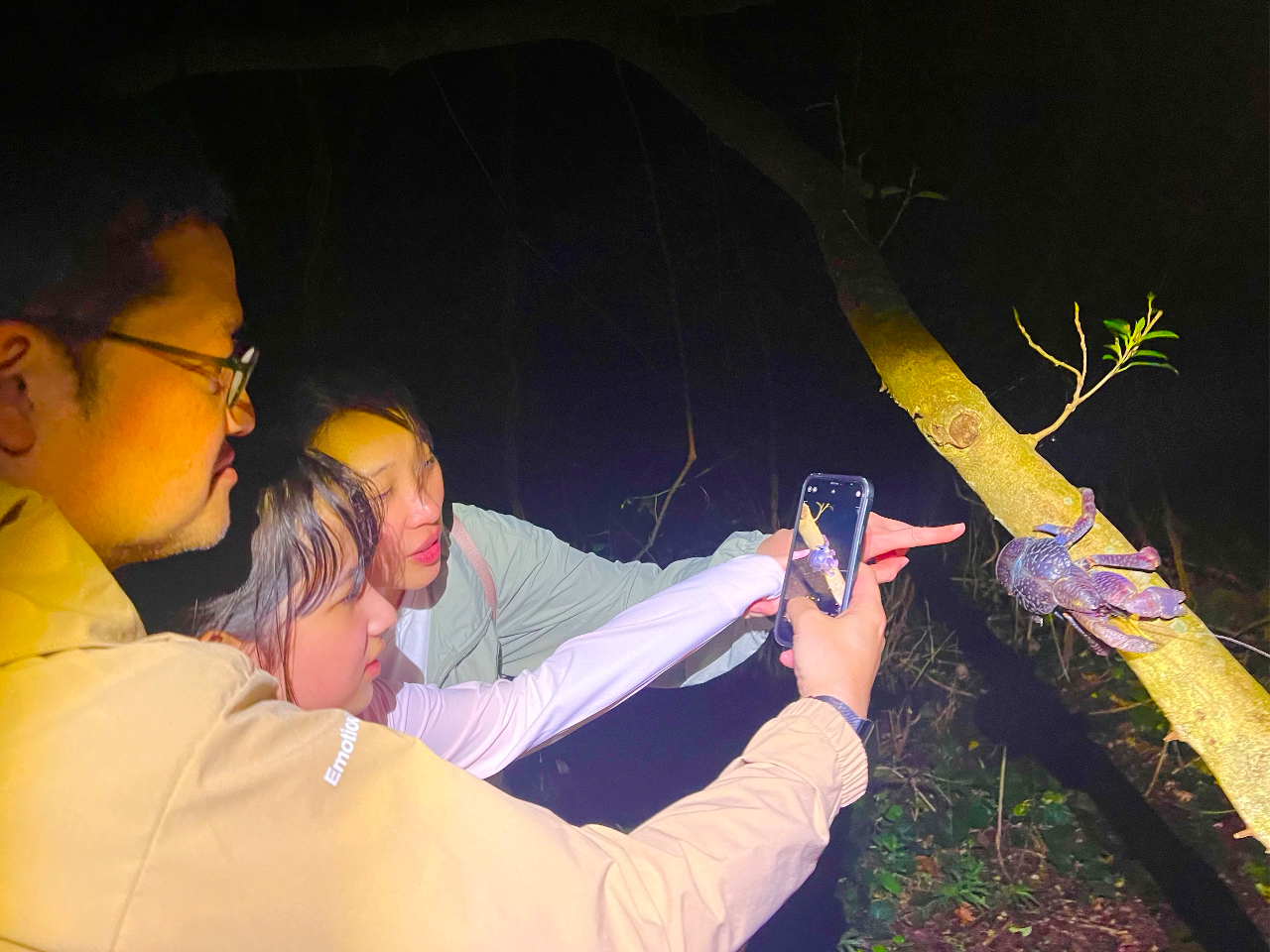 VKjɋ[XɏڂKChԂȂǗlXȓAly߂ełI