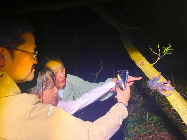 ヤシガニに興味深々♪生物に詳しいガイドが生態など様々な特徴を解説、大人も楽しめる内容です!