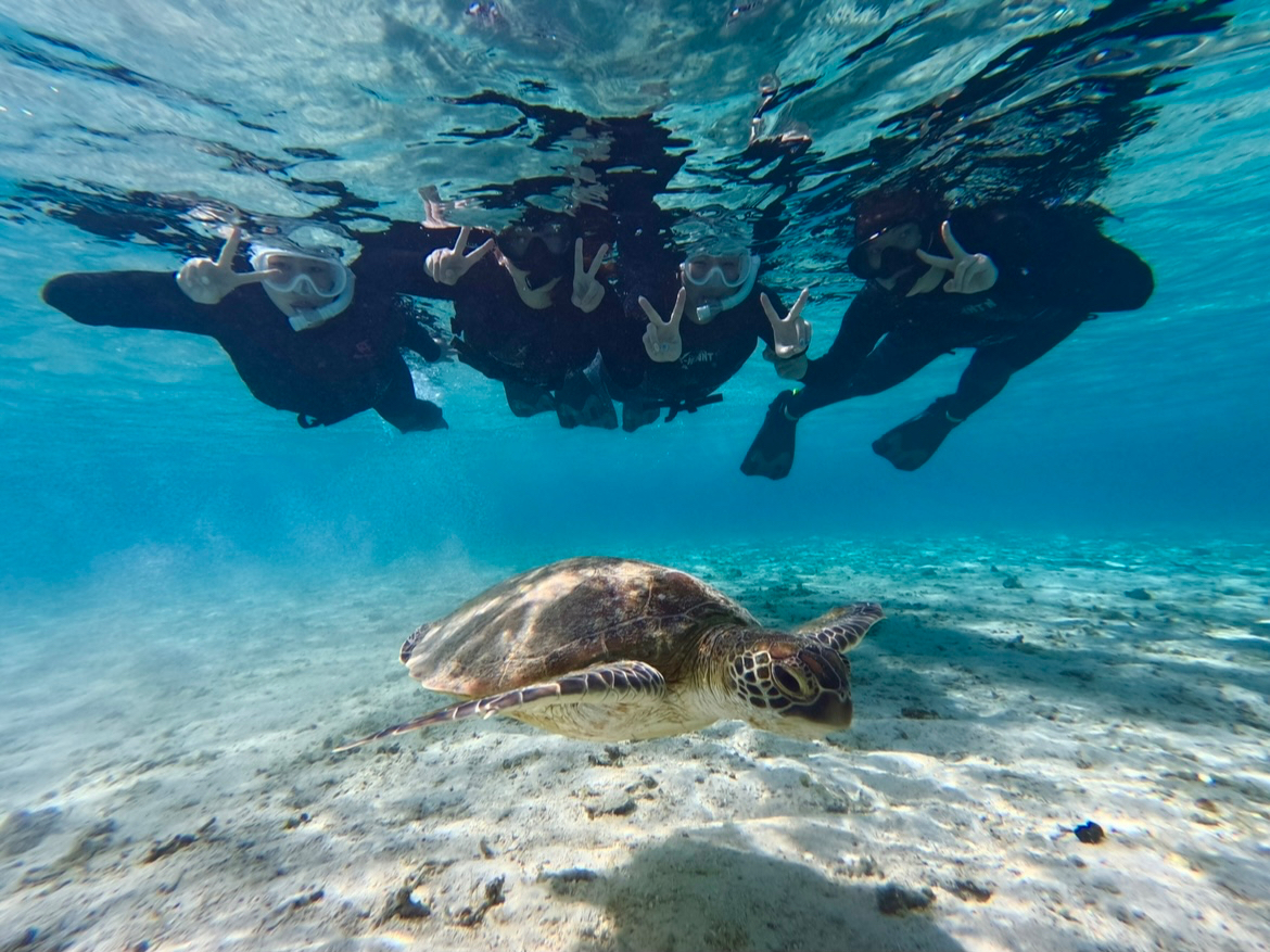 Ώ۔NÔqlŎQ]̕Aĝ݂ŃcA[y݂͐΂ɂ炪߂łI