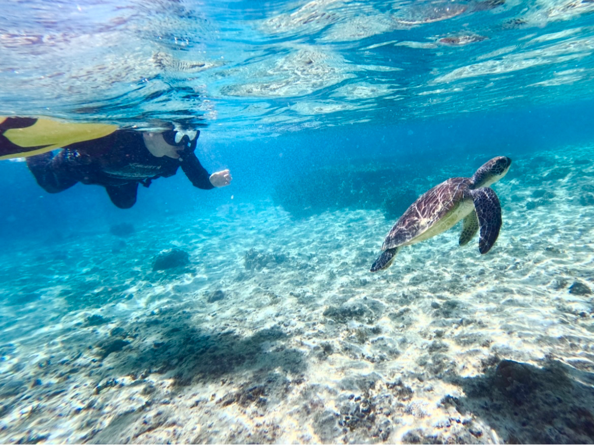 lꂵ̂ł΃[Ŋώ@鎖ł܂B