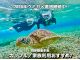 貸切プラン:宮古島/ウミガメシュノーケル/初心者専門