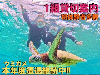 貸切プラン:宮古島/ウミガメシュノーケル/初心者専門