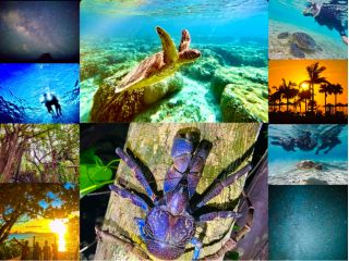 宮古島大自然の昼夜を満喫!大人気ウミガメシュノーケルと星空ジャングルナイトツアーのSETプラン!