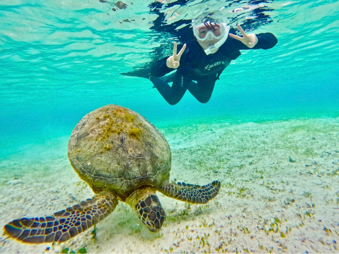 ԃE~KVm[POIv킸GĂ܂ȋŊώ@邱Ƃł܂Bef[^̓v[gI