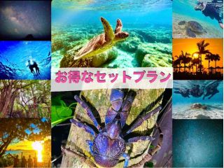 宮古島大自然の昼夜を満喫!大人気ウミガメシュノーケルと星空ジャングルナイトツアーのSETプラン!