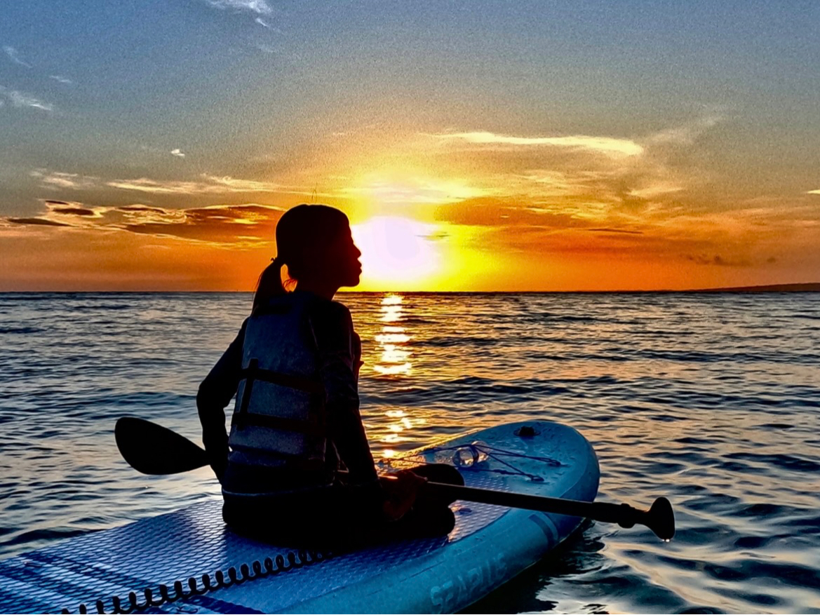 Sґ劽}􊮑SvCx[gcA[Ȃ̂ŐSuȂy߂܂I