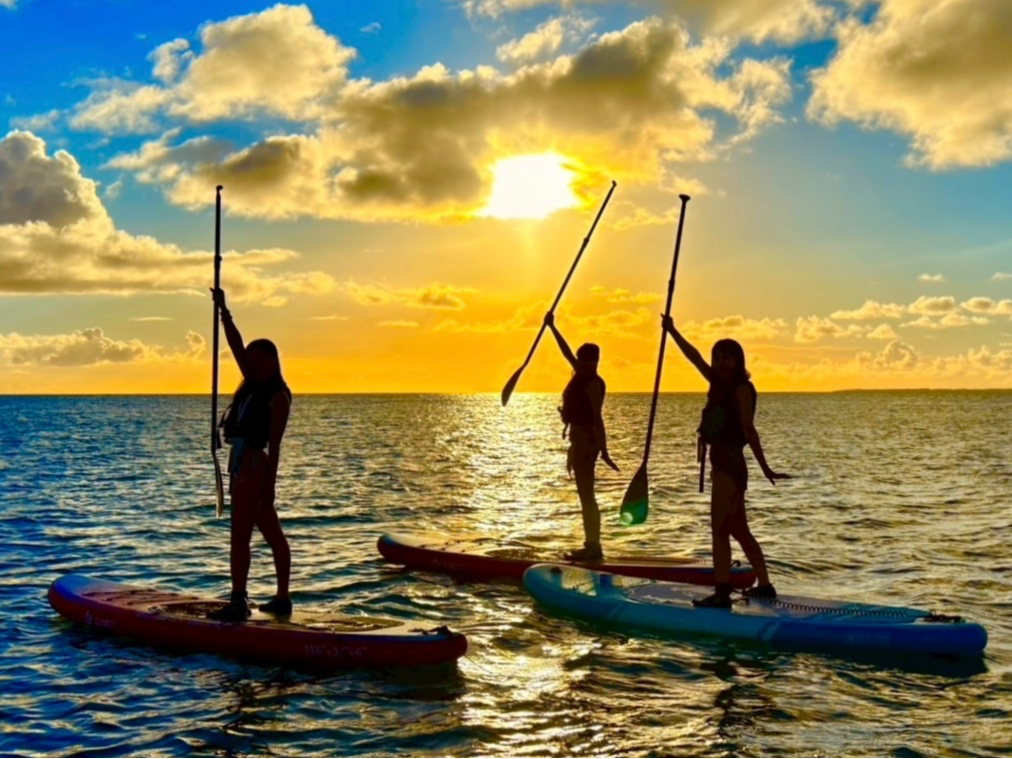 SvCx[gcA[Ȃ̂łql̃xɍ킹cA[eł̌܂B