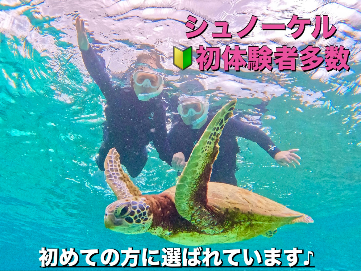 �E�~�K����������100%�p�����I