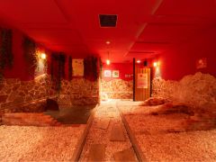 【岩盤温熱処 笹蒸房(韓式チムジルバン)】カラーセラピー作用と岩盤温熱効果を組み合わせた 「心と体」を癒す新タイプの複合温熱施設。ご家族やカップルでご利用可能!