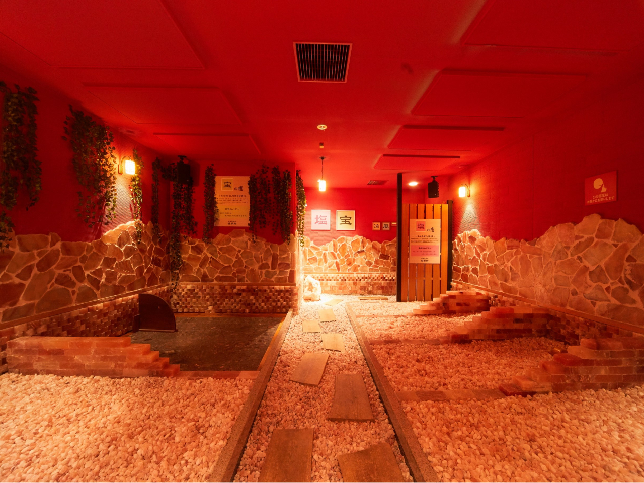 yՉM [i؎`WojzJ[Zs[pƊՉMʂgݍ킹 uSƑ́vV^Cv̕M{݁BƑJbvłp\I