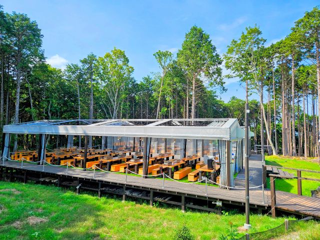 開放的で緑に囲まれた中でBBQを楽しめます。昼からでも昼過ぎからでも夜でもOKなオールマイティ仕様です。