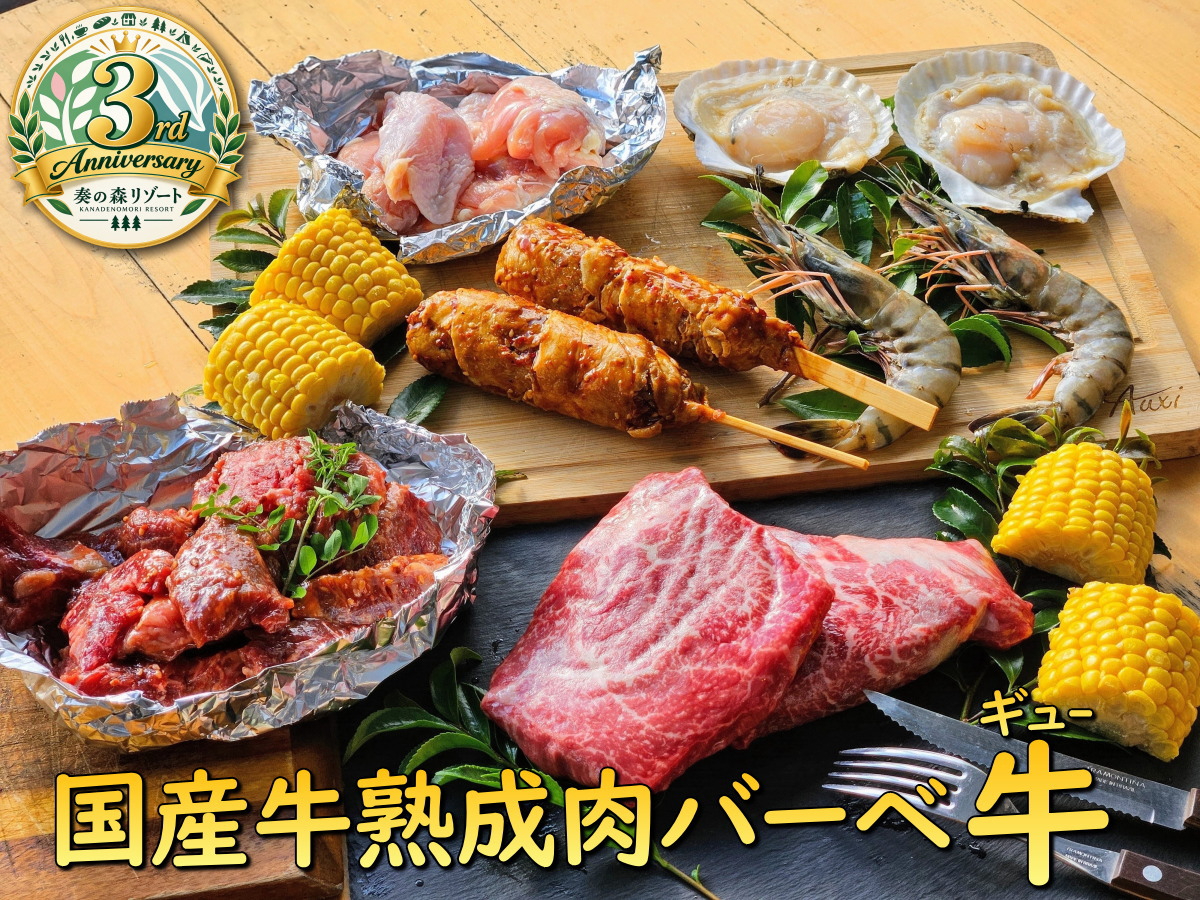 【予約限定焼肉バーベキュー】開業3周年記念プラン・国産牛熟成肉BBQ【グループ・...