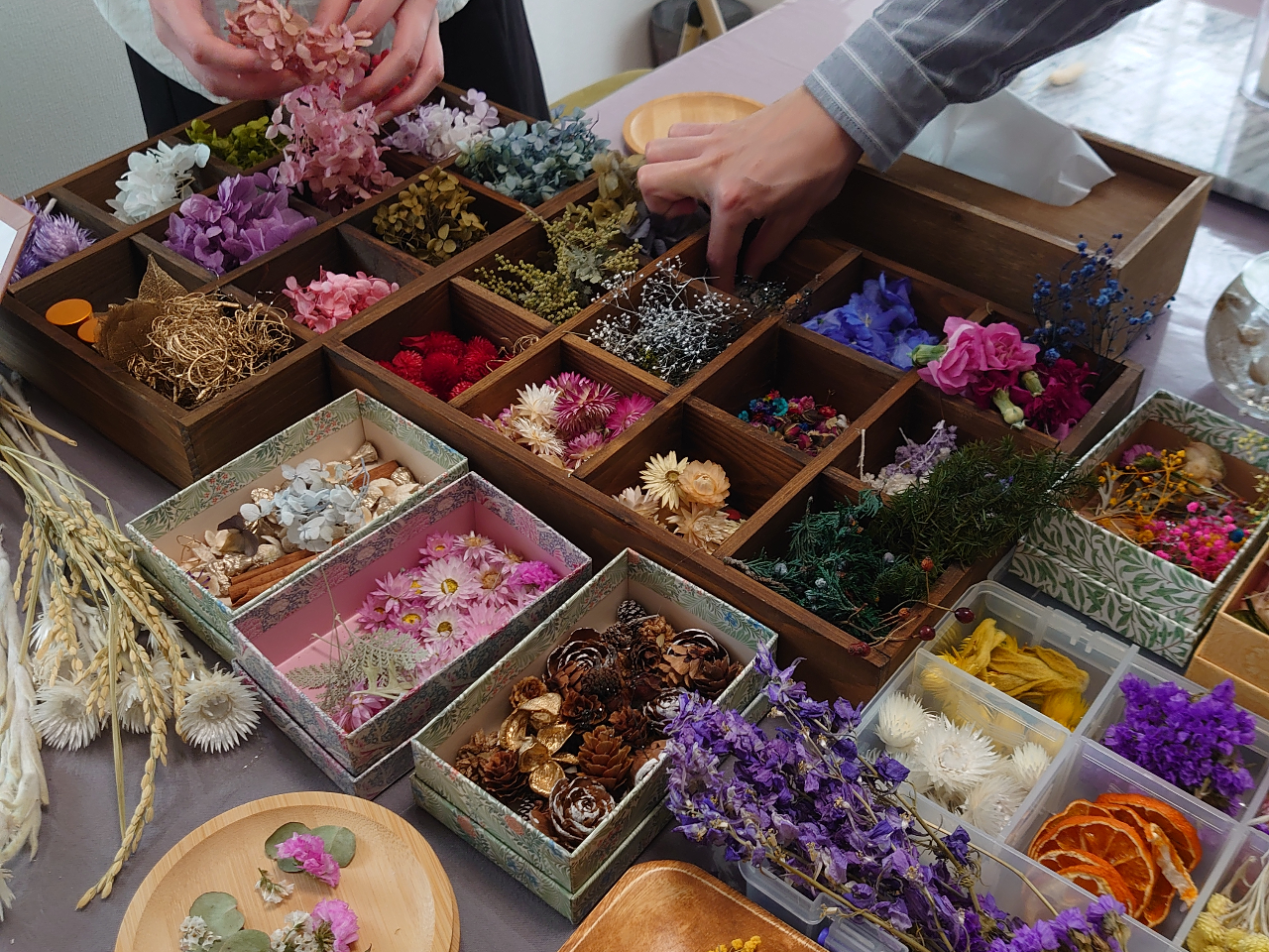 Ԃ͂񑵂Ă܂̂ŁAIԂ̂ył