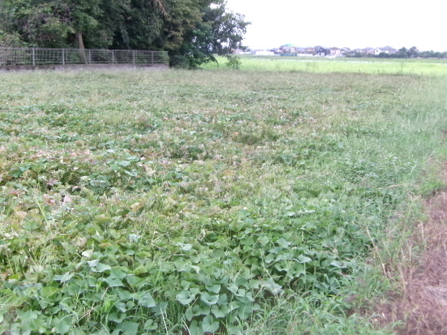 L@͔|I_򂳂܈@Ô܈