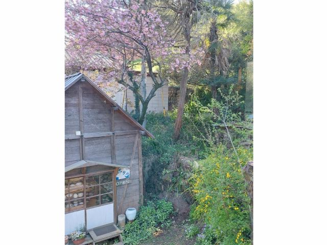 自然の中、陶工房ポタリ