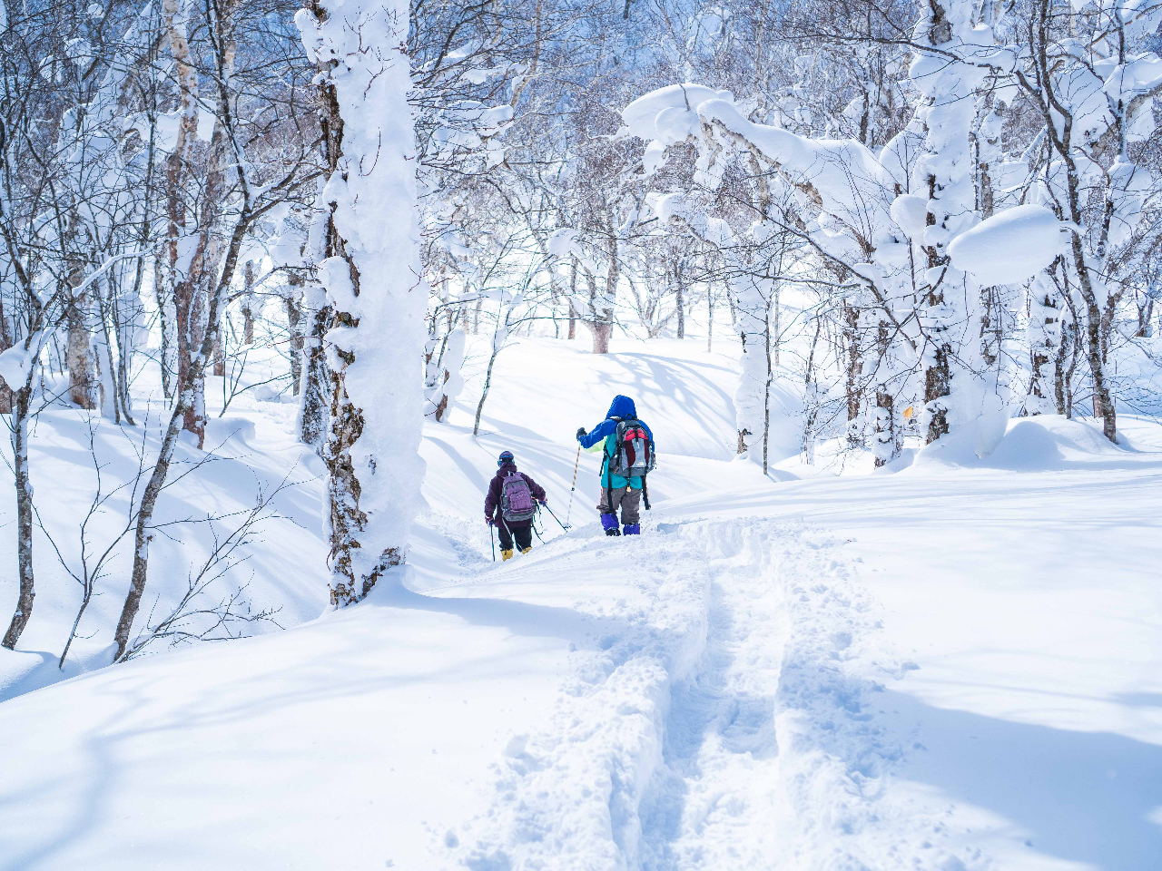 オロフレ峠ビギナー、カップル、女性向けスノーシューツアー～雪の結晶